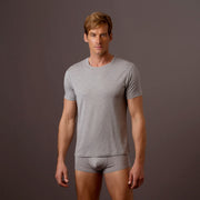 TANI MENS CREW NECK T-SHIRT - GREY